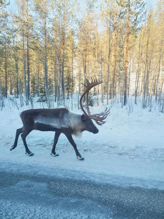 Yllaes Kanerva 105 Экясломполо Экстерьер фото